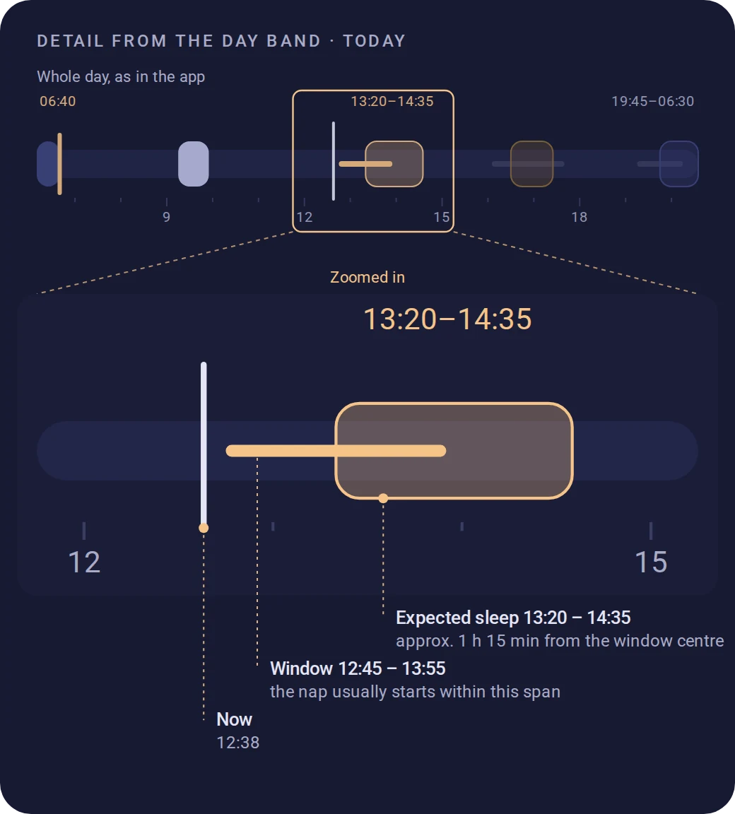 Detail from the day band: the now marker at 12:38, the window 12:45–13:55 in which the nap usually starts, and the expected sleep 13:20–14:35